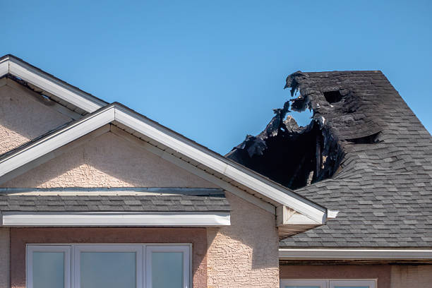 Licensed Fire Damage Removal service in Tarpon Springs, FL - Fire Damage Biloxi