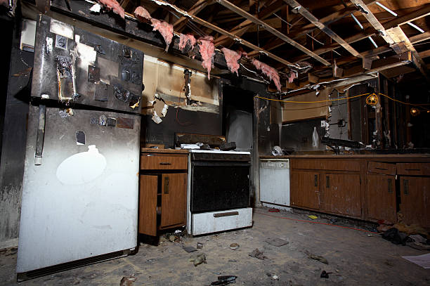 Affordable Fire Damage Removal solutions in Tarpon Springs, FL